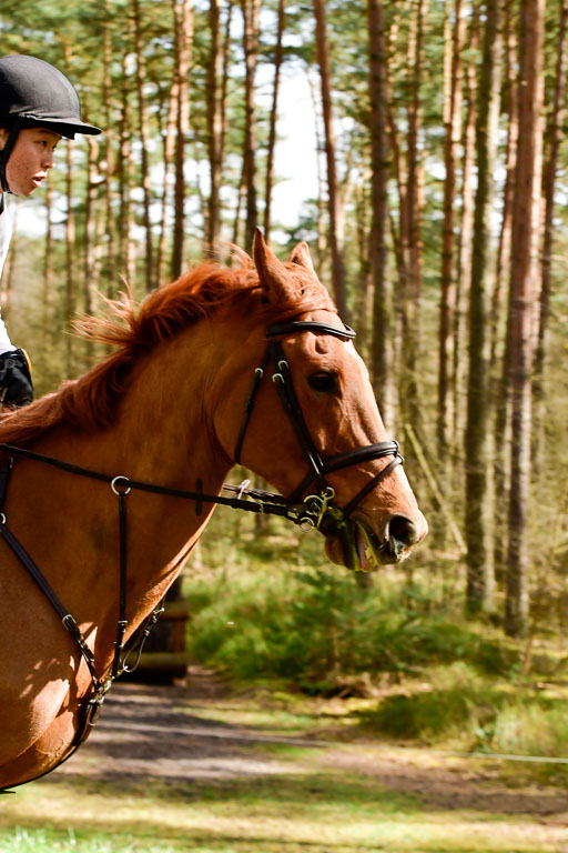 Luhmühlen CCI  26.3.2023 | 26032023 - XC  CCI3+ _326 