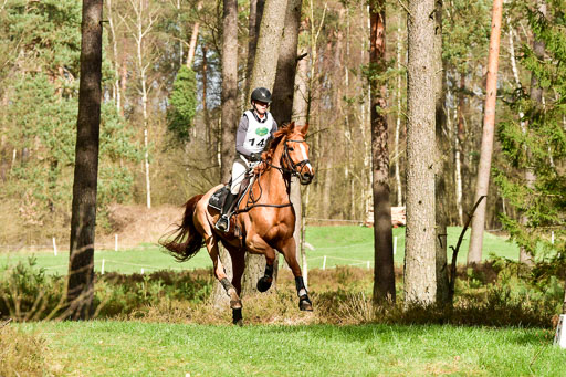 Luhmühlen CCI  26.3.2023 | 26032023 - XC  CCI3+ _356 