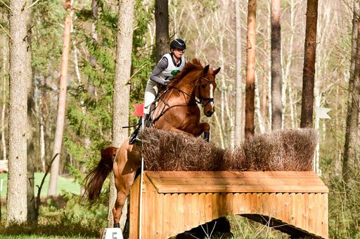 Luhmühlen CCI  26.3.2023 | 26032023 - XC  CCI3+ _357 