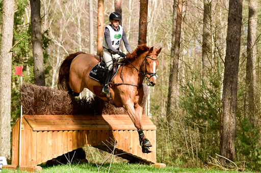 Luhmühlen CCI  26.3.2023 | 26032023 - XC  CCI3+ _360 