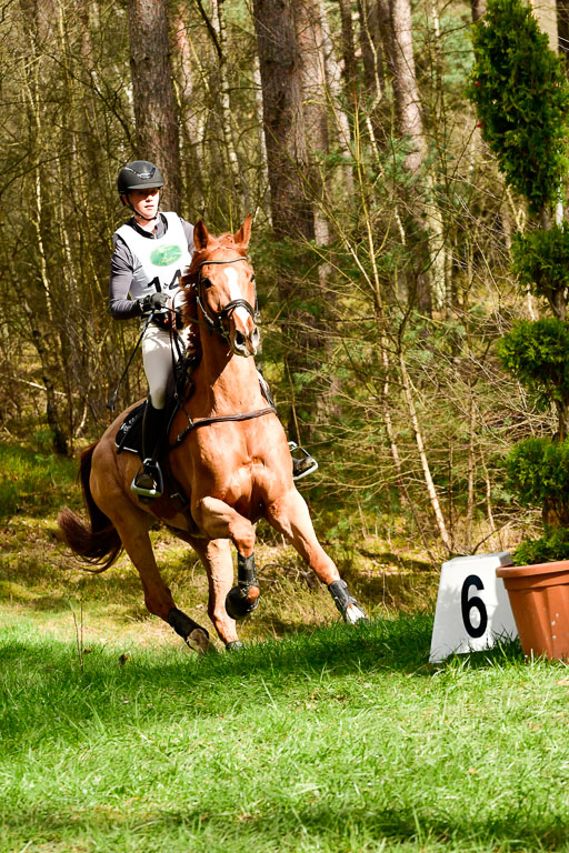 Luhmühlen CCI  26.3.2023 | 26032023 - XC  CCI3+ _363 