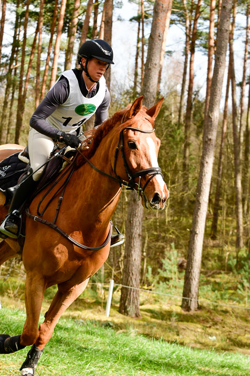 Luhmühlen CCI  26.3.2023 | 26032023 - XC  CCI3+ _365 