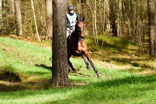 Luhmühlen CCI  26.3.2023 | 26032023 - XC  CCI3+ _423 