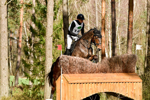 Luhmühlen CCI  26.3.2023 | 26032023 - XC  CCI3+ _427 