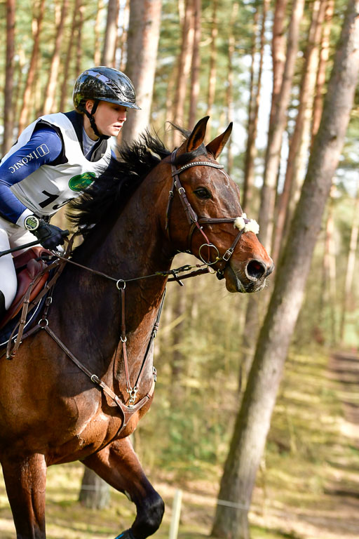 Luhmühlen CCI  26.3.2023 | 26032023 - XC  CCI3+ _440 