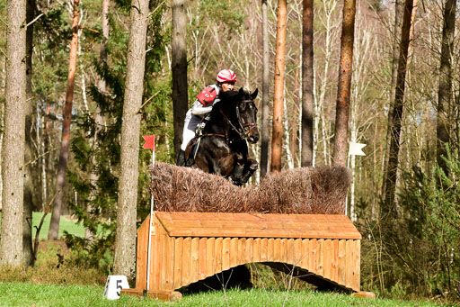 Luhmühlen CCI  26.3.2023 | 26032023 - XC  CCI3+ _444 