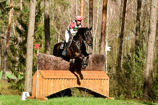 Luhmühlen CCI  26.3.2023 | 26032023 - XC  CCI3+ _446 