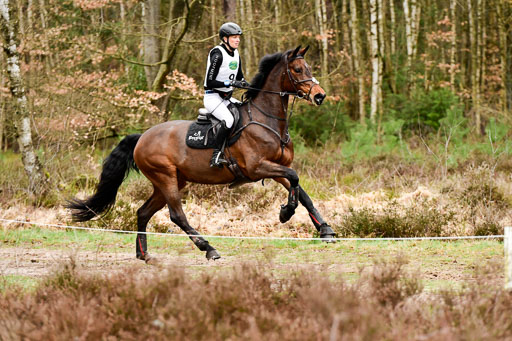 Luhmühlen CCI2+  26.3.2023 | 26032023 - XC  CCI2+ _034 