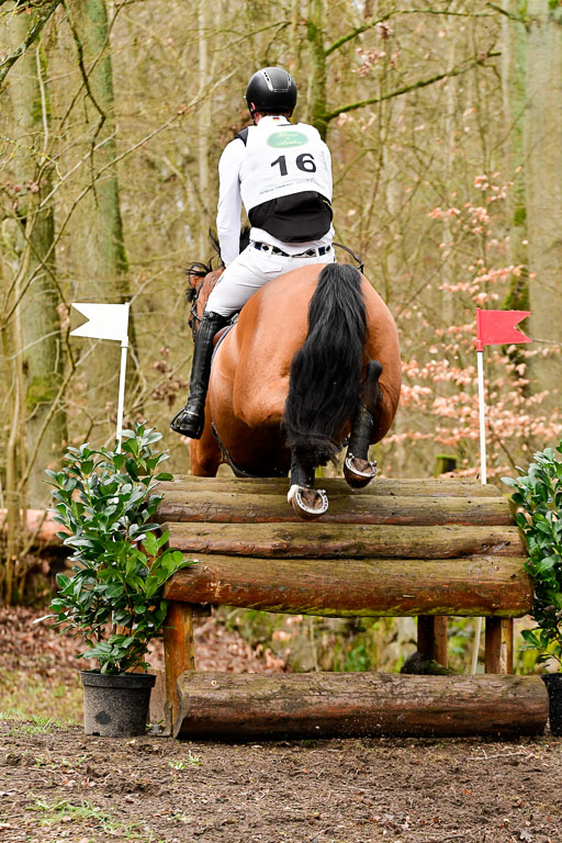 Luhmühlen CCI2+  26.3.2023 | 26032023 - XC  CCI2+ _080 