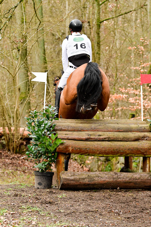 Luhmühlen CCI2+  26.3.2023 | 26032023 - XC  CCI2+ _081 