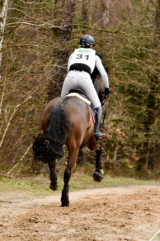 Luhmühlen CCI2+  26.3.2023 | 26032023 - XC  CCI2+ _126 