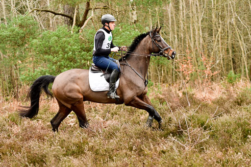 Luhmühlen CCI2+  26.3.2023 | 26032023 - XC  CCI2+ _168 