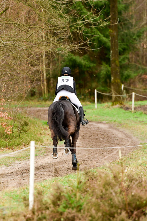 Luhmühlen CCI2+  26.3.2023 | 26032023 - XC  CCI2+ _184 