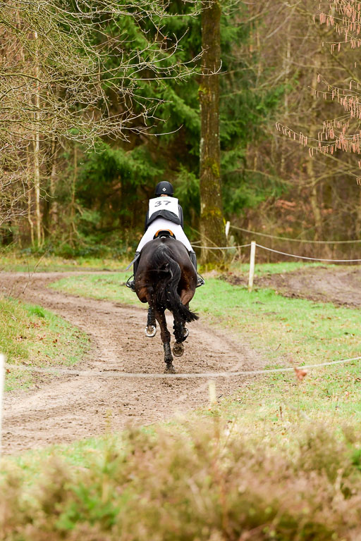 Luhmühlen CCI2+  26.3.2023 | 26032023 - XC  CCI2+ _185 