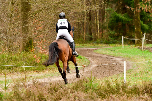 Luhmühlen CCI2+  26.3.2023 | 26032023 - XC  CCI2+ _297 