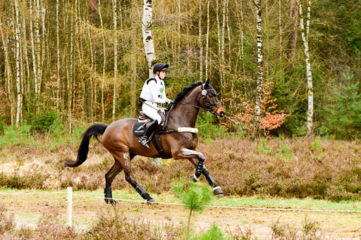 Luhmühlen CCI2+  26.3.2023 | 26032023 - XC  CCI2+ _299 