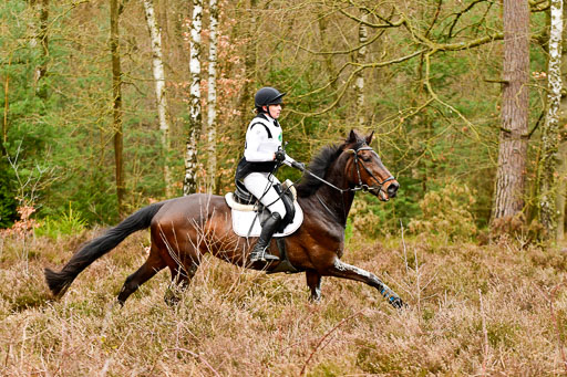 Luhmühlen CCI2+  26.3.2023 | 26032023 - XC  CCI2+ _331 