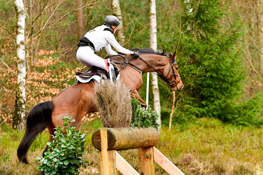 Luhmühlen CCI2+  26.3.2023 | 26032023 - XC  CCI2+ _422 