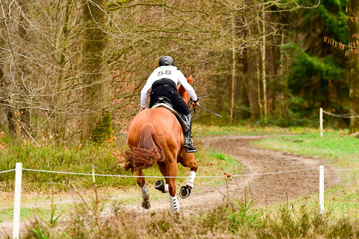 Luhmühlen CCI2+  26.3.2023 | 26032023 - XC  CCI2+ _446 