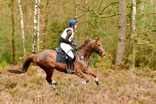 Luhmühlen CCI2+  26.3.2023 | 26032023 - XC  CCI2+ _484 