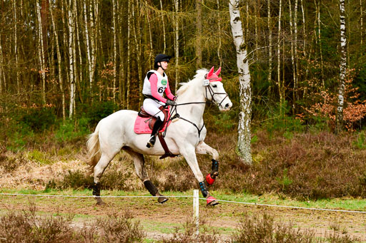 Luhmühlen CCI2+  26.3.2023 | 26032023 - XC  CCI2+ _495 