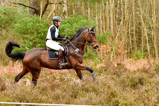 CCI 2**   XC