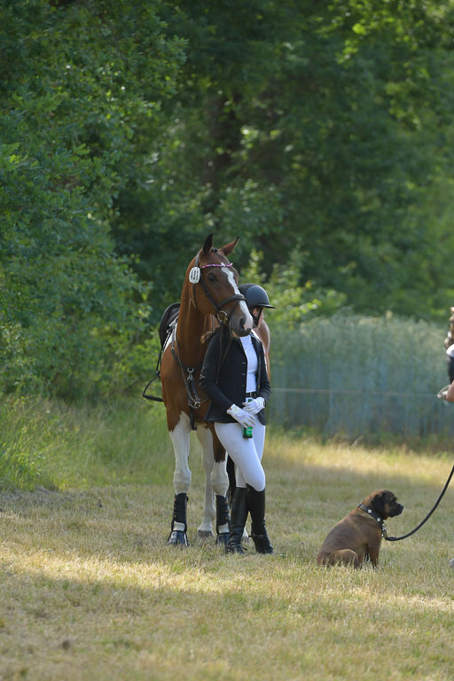 Mechtersen 25.06.2023 | 25062023 Impressionen_03 