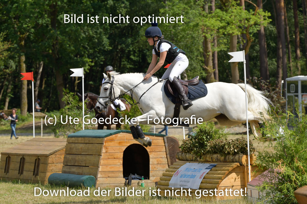 Mechtersen 24062023 | 24062023 Stil Geländeritt_141