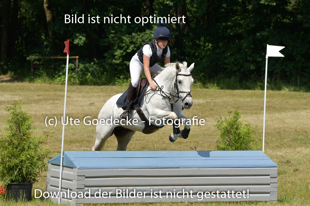 Mechtersen 24062023 | 24062023 Stil Geländeritt_142