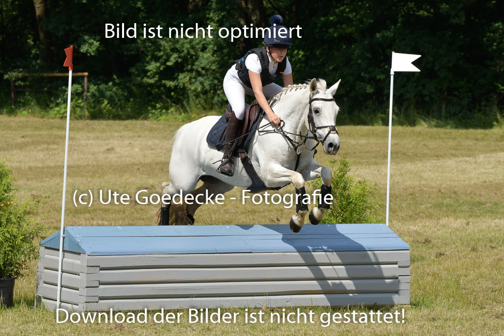Mechtersen 24062023 | 24062023 Stil Geländeritt_143