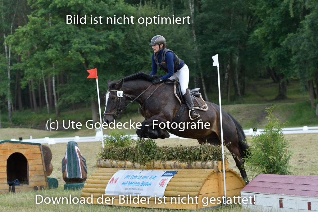 Mechtersen 24062023 | 24062023 Stil Geländeritt_170