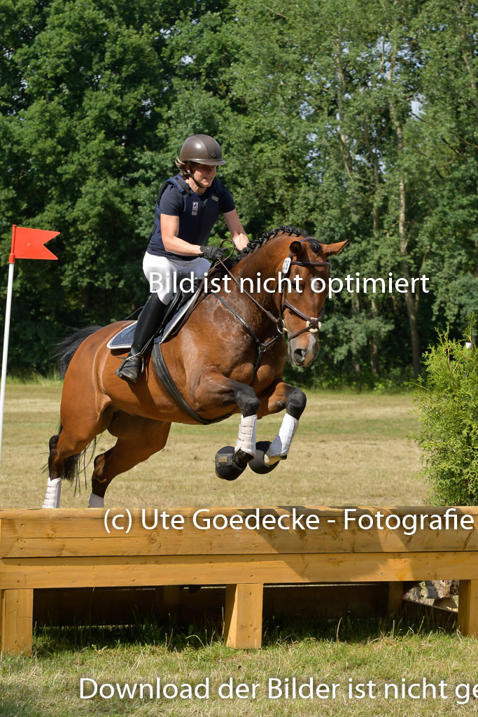 Mechtersen 24062023 | 24062023 Stil Geländeritt_187