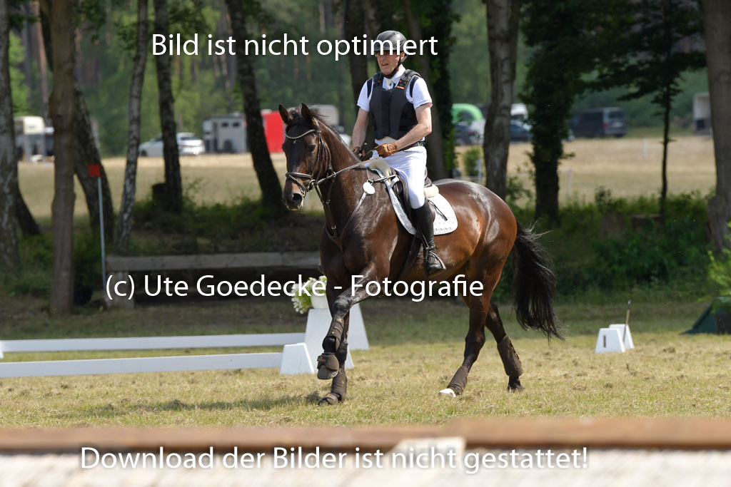 Mechtersen 24062023 | 24062023 Stil Geländeritt_199