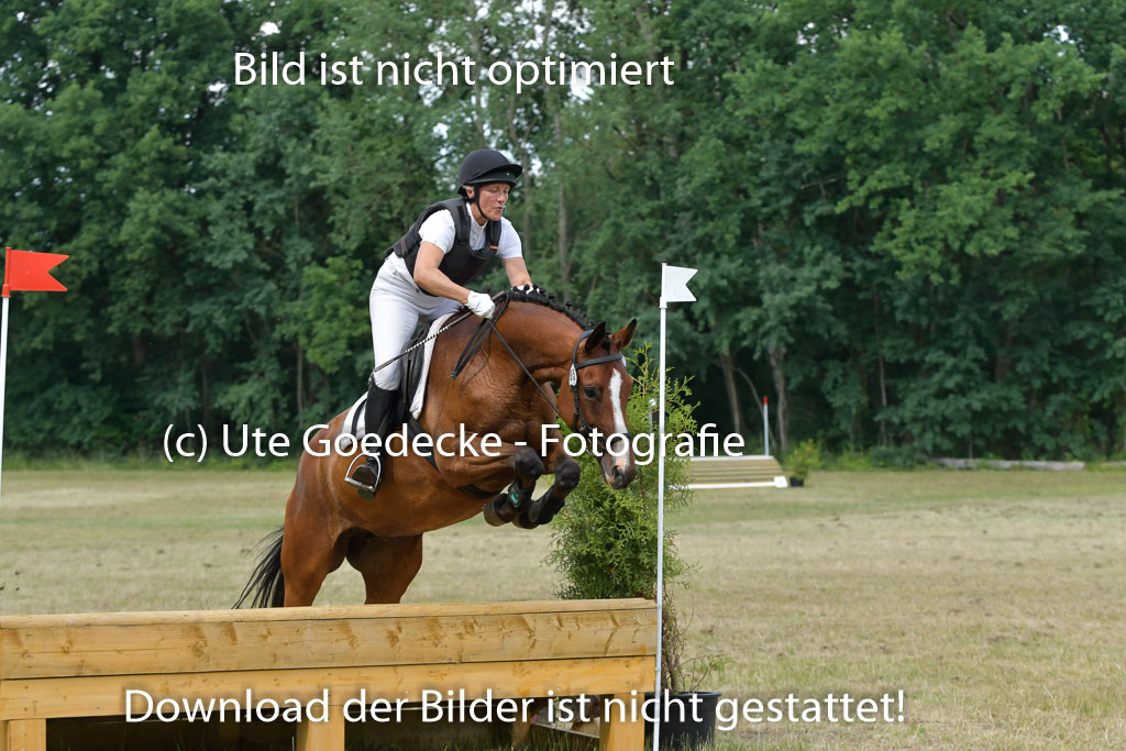 Mechtersen 24062023 | 24062023 Stil Geländeritt_205