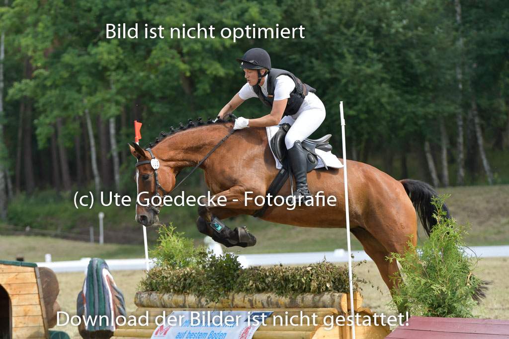Mechtersen 24062023 | 24062023 Stil Geländeritt_208