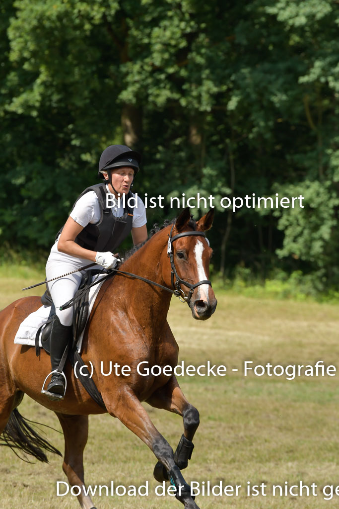 Mechtersen 24062023 | 24062023 Stil Geländeritt_212