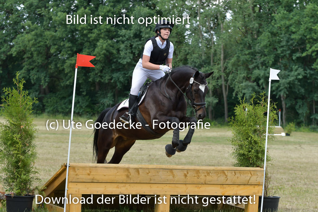 Mechtersen 24062023 | 24062023 Stil Geländeritt_223