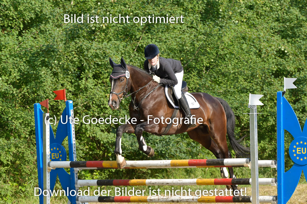 Mechtersen 25.06.2023 | 25062023 Stil Springen A_001