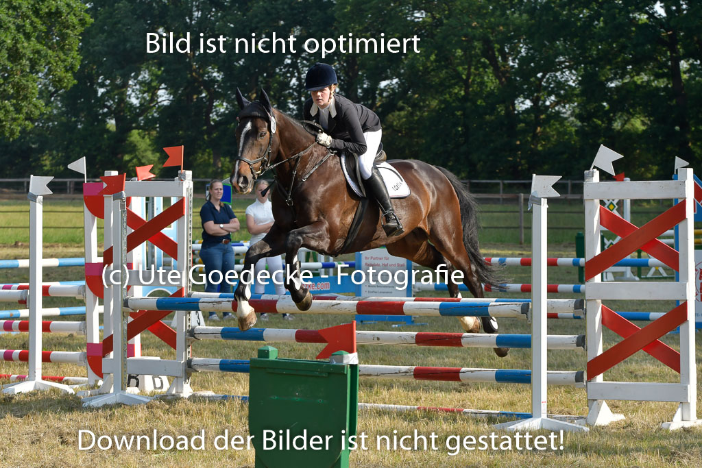 Mechtersen 25.06.2023 | 25062023 Stil Springen A_003 