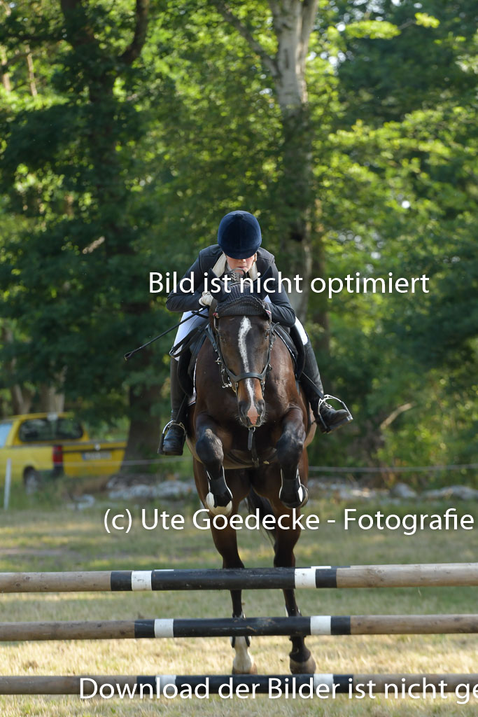 Mechtersen 25.06.2023 | 25062023 Stil Springen A_004
