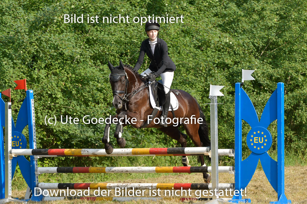 Mechtersen 25.06.2023 | 25062023 Stil Springen A_011