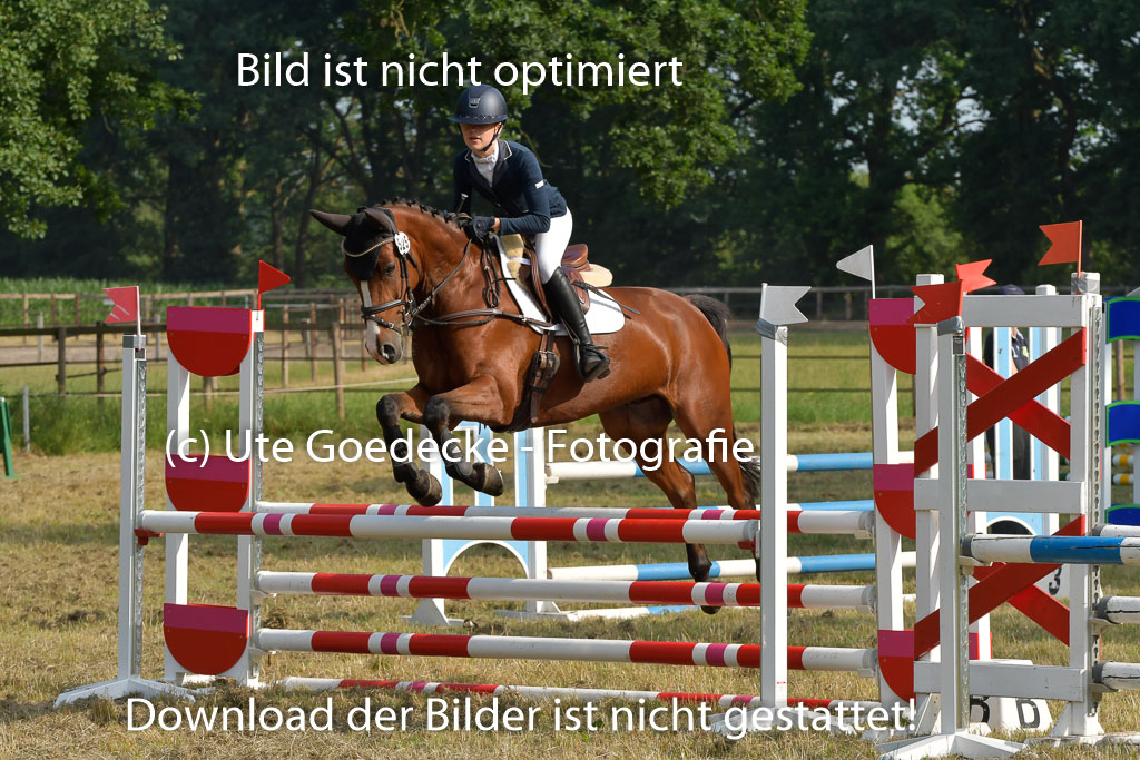 Mechtersen 25.06.2023 | 25062023 Stil Springen A_020