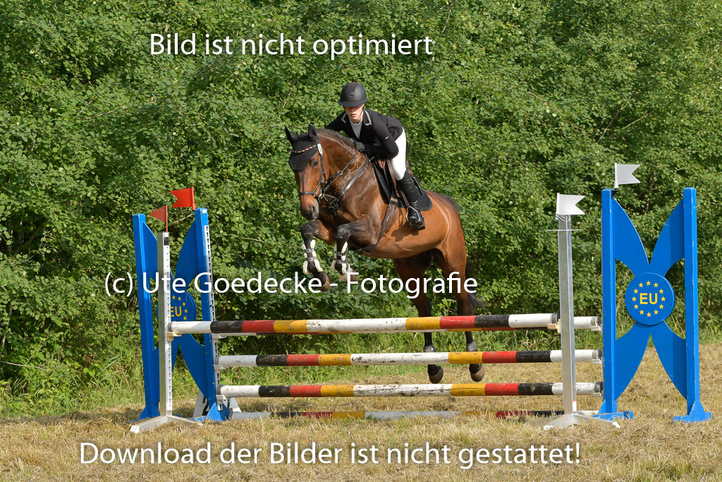 Mechtersen 25.06.2023 | 25062023 Stil Springen A_022 