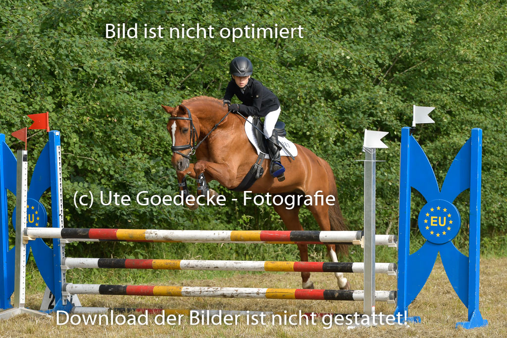 Mechtersen 25.06.2023 | 25062023 Stil Springen A_034 