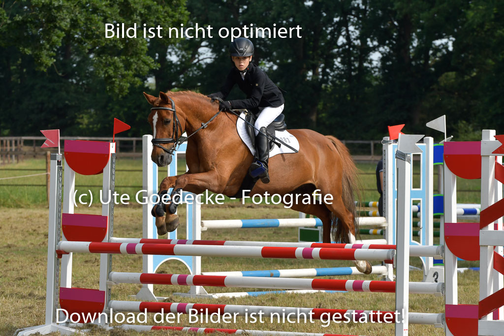 Mechtersen 25.06.2023 | 25062023 Stil Springen A_038 