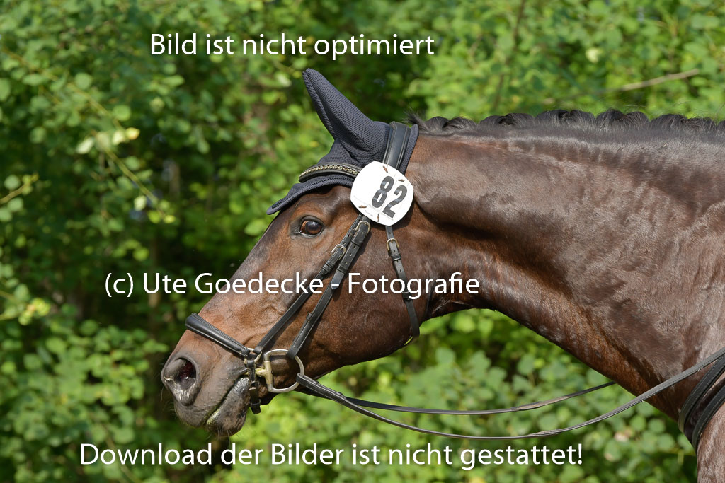 Mechtersen 25.06.2023 | 25062023 Stil Springen A_058