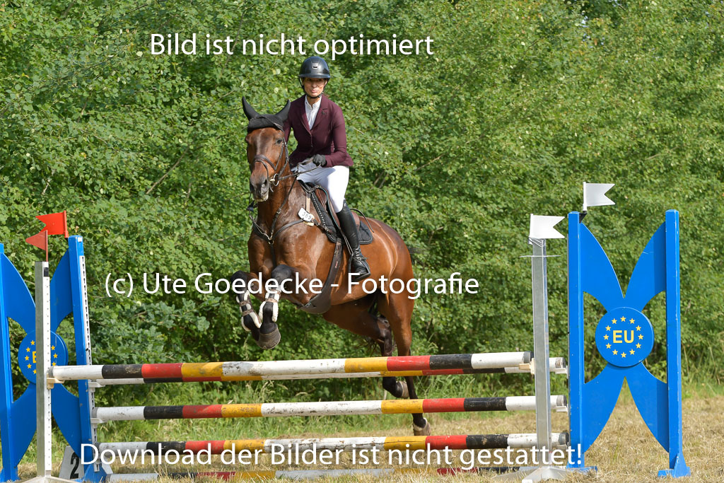 Mechtersen 25.06.2023 | 25062023 Stil Springen A_059