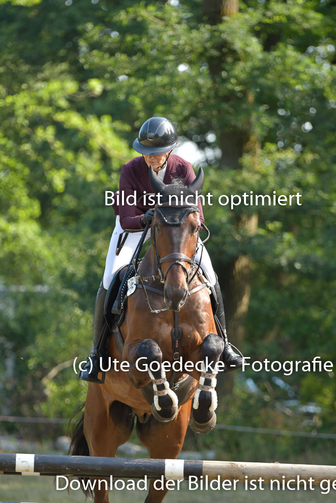 Mechtersen 25.06.2023 | 25062023 Stil Springen A_061 