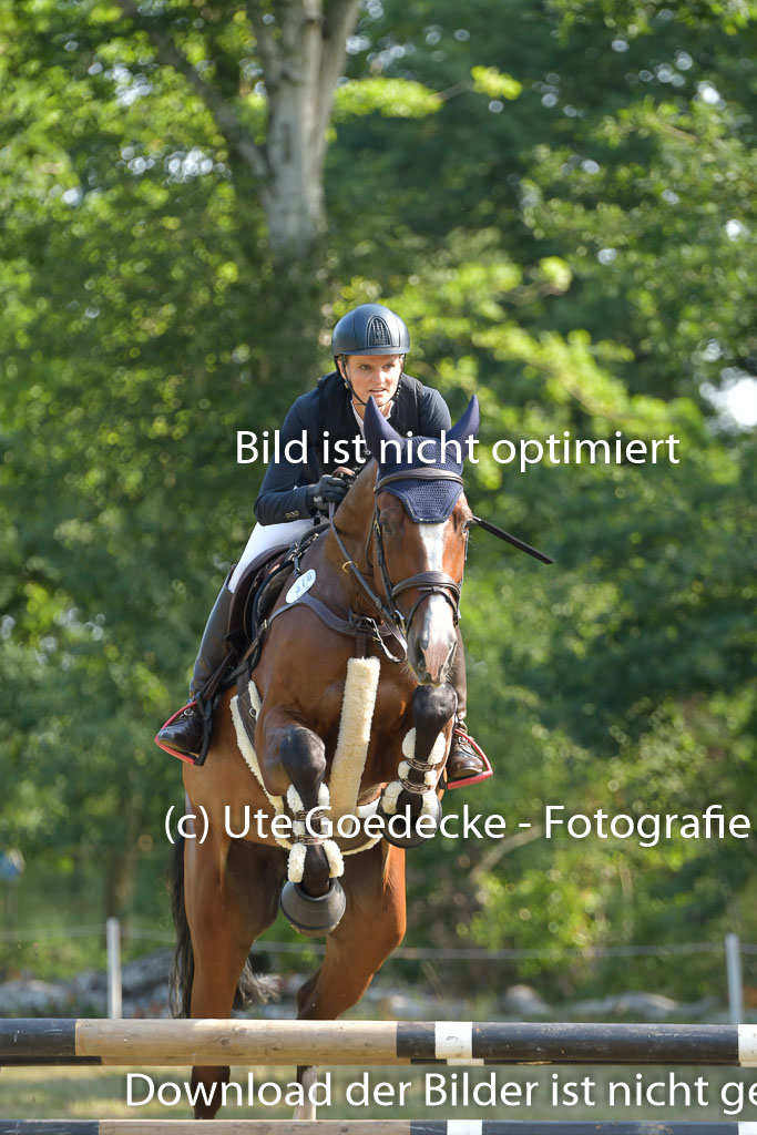 Mechtersen 25.06.2023 | 25062023 Stil Springen A_065