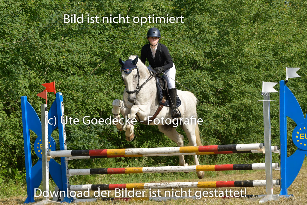 Mechtersen 25.06.2023 | 25062023 Stil Springen A_071